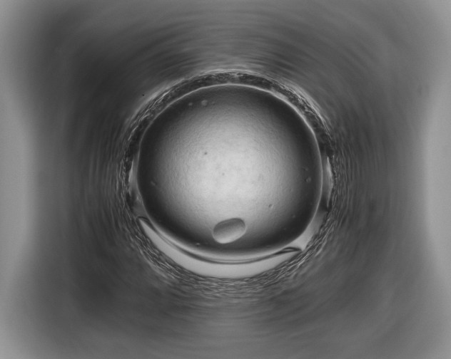 X0000116661064200912211503