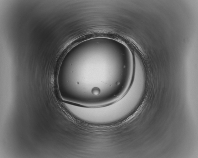 X0000116661065200912211503