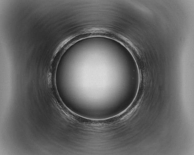 X0000116661066200912211503