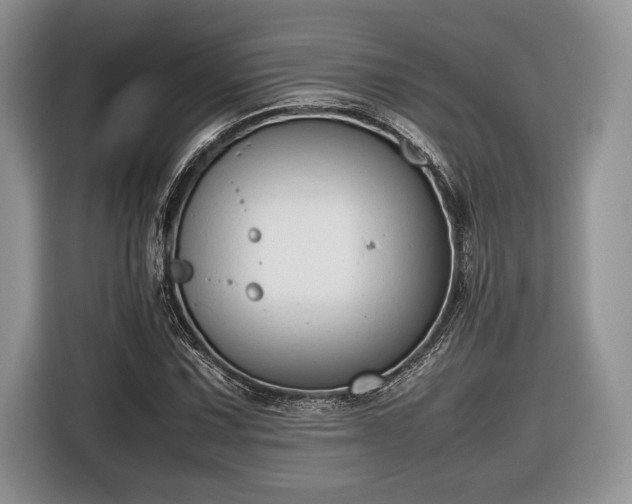 X0000116661067200912211503