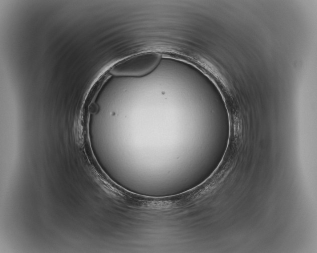 X0000116661068200912211503