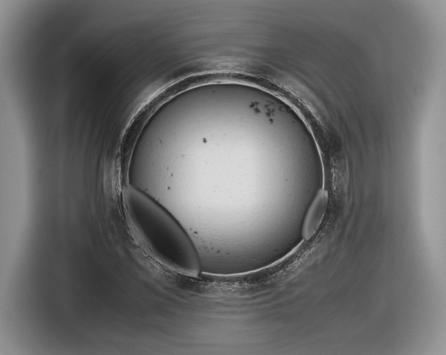 X0000116661069200912211503