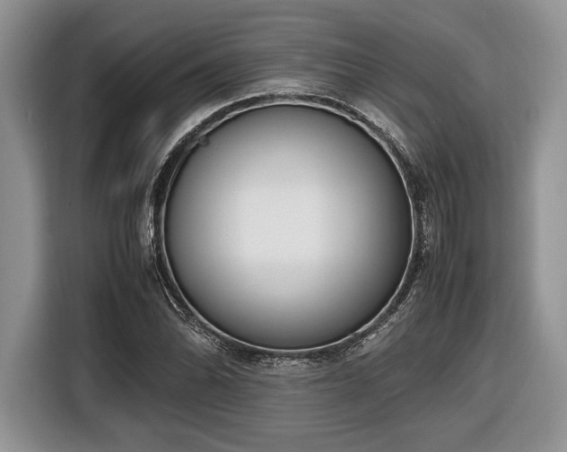 X0000116661070200912211503