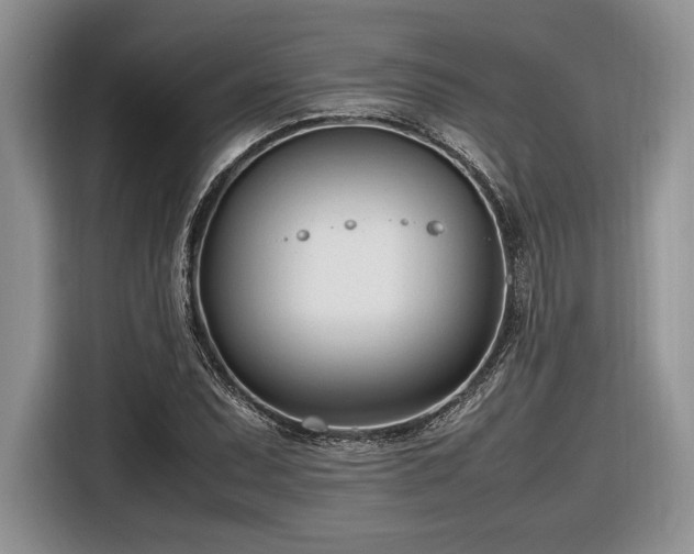 X0000116661071200912211503