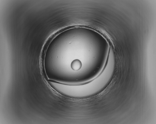 X0000116661072200912211503