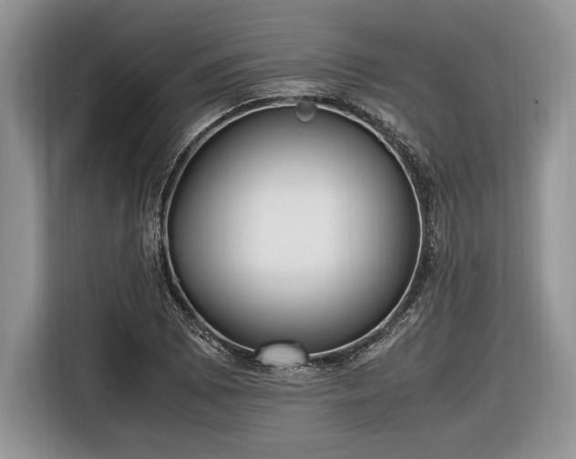 X0000116661073200912211503