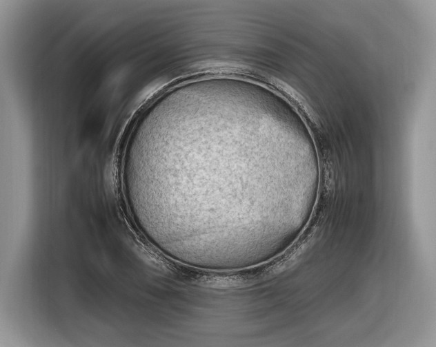 X0000116661074200912211503