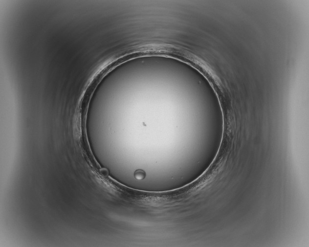 X0000116661075200912211503