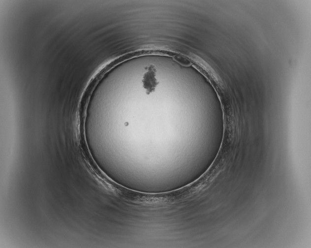 X0000116661076200912211503