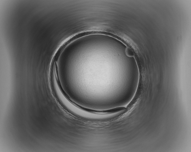 X0000116661077200912211502