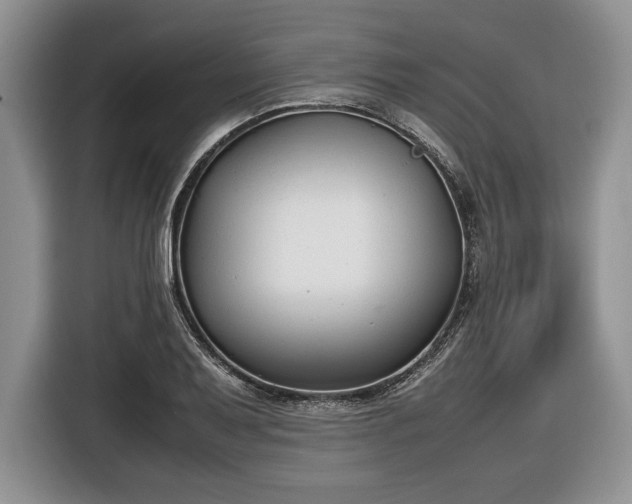 X0000116661079200912211502