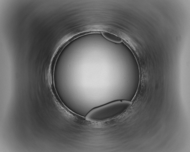 X0000116661080200912211502