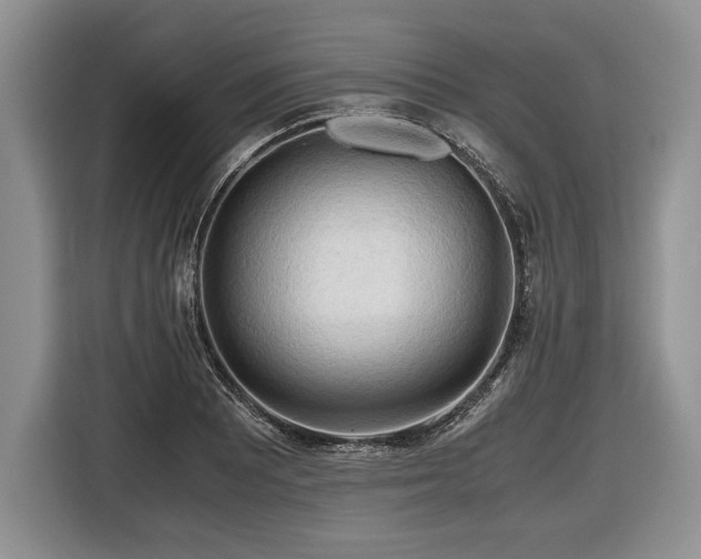 X0000116661081200912211502