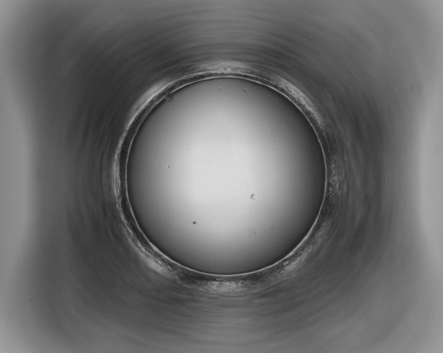 X0000116661082200912211502