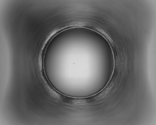 X0000116661083200912211502