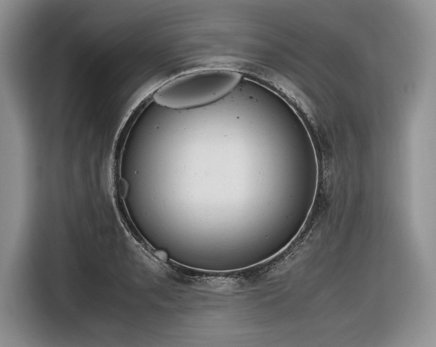 X0000116661085200912211502