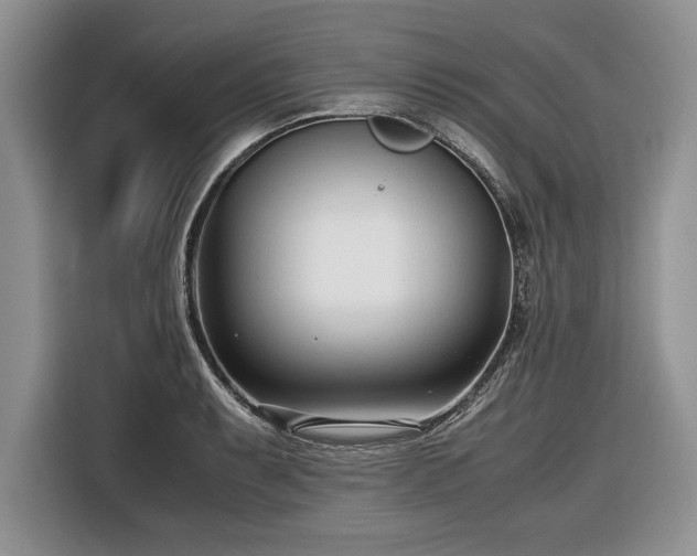 X0000116661087200912211502