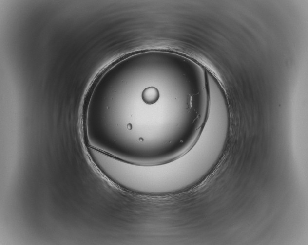 X0000116661088200912211502