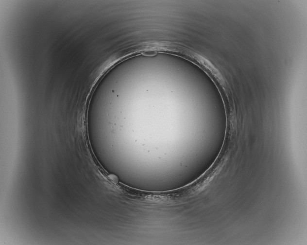 X0000116661089200912211502