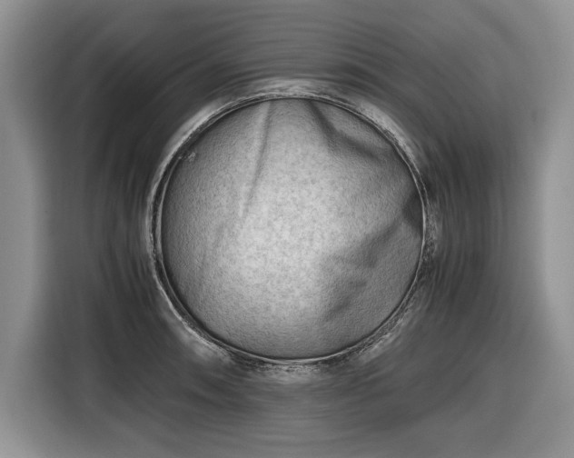 X0000116661090200912211502