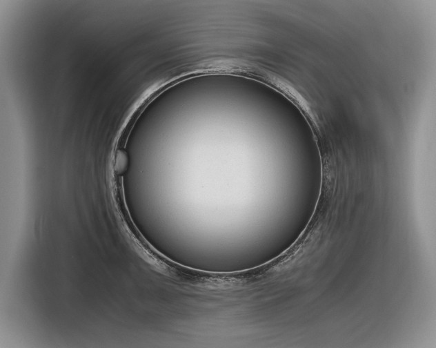 X0000116661091200912211502