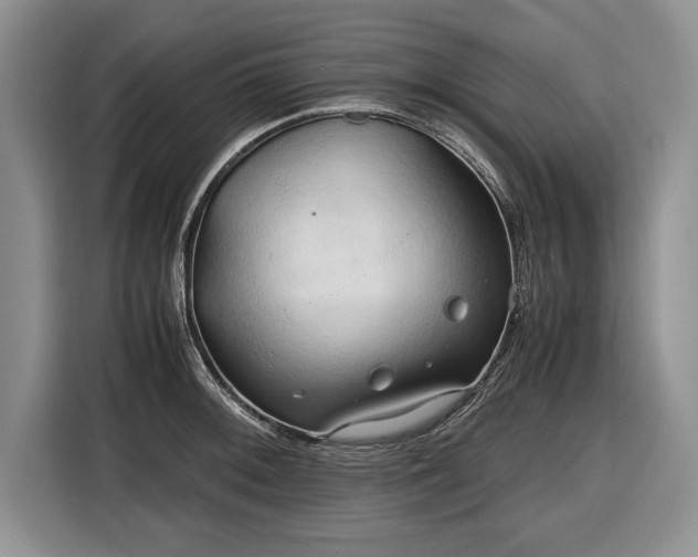 X0000116661092200912211502