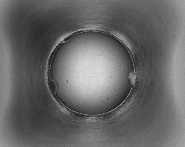 X0000116661093200912211502