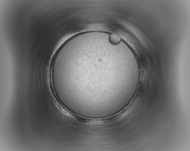 X0000116661094200912211502