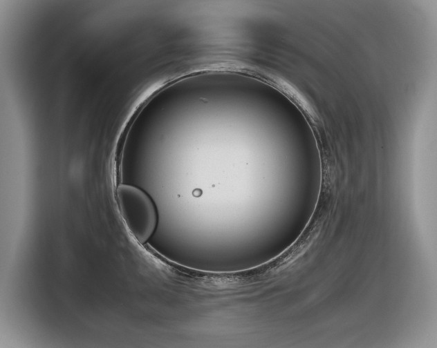 X0000116661095200912211502