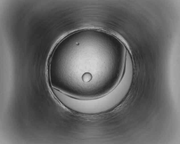 X0000116661096200912211502