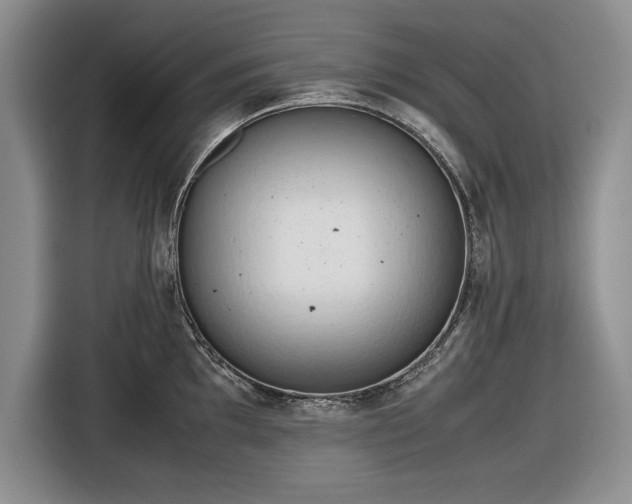 X0000116661097200912211502