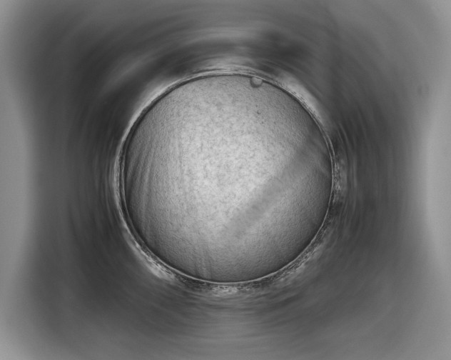 X0000116661098200912211502