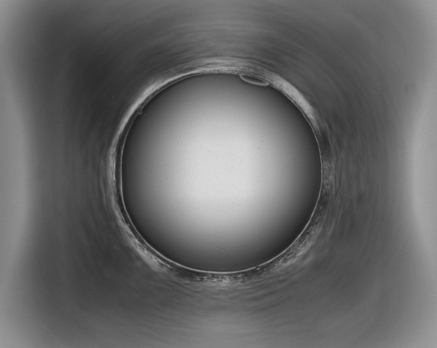 X0000116661099200912211502