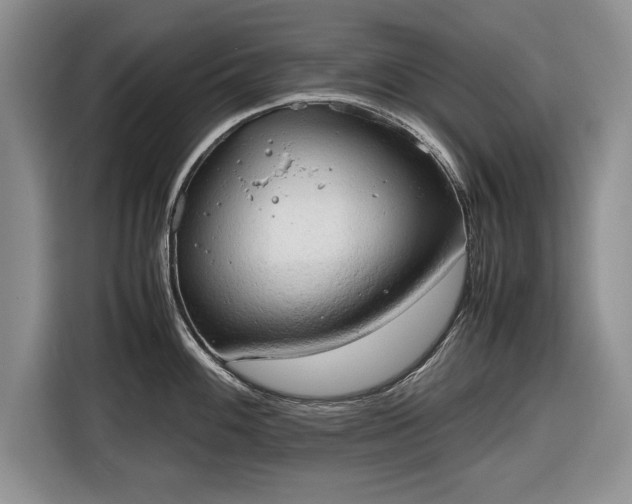 X0000116661100200912211502