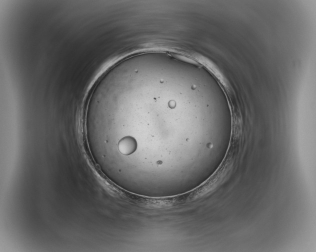 X0000116661101200912211502