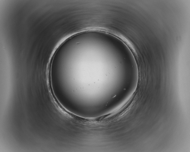 X0000116661102200912211502