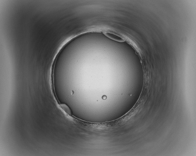 X0000116661103200912211502