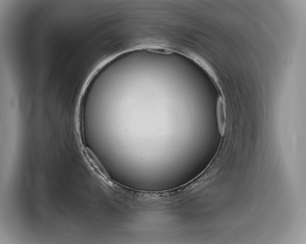 X0000116661104200912211502