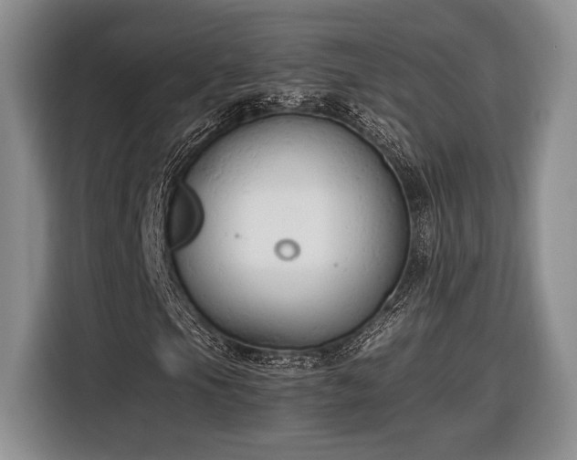 X0000116661105200912211502