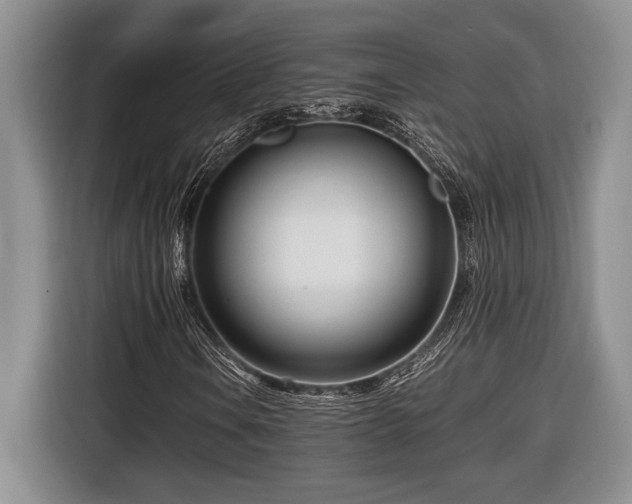 X0000116661106200912211502