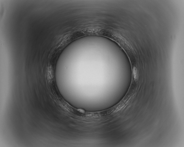 X0000116661107200912211502