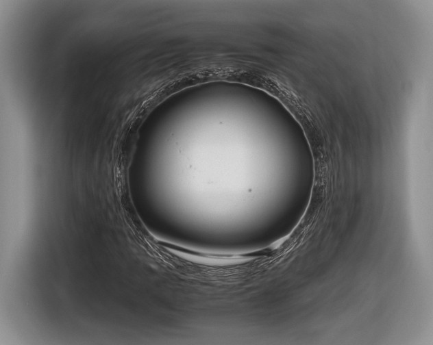 X0000116661109200912211502