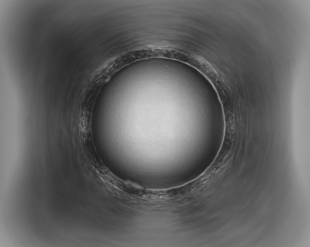 X0000116661110200912211502