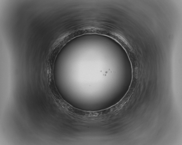 X0000116661111200912211502