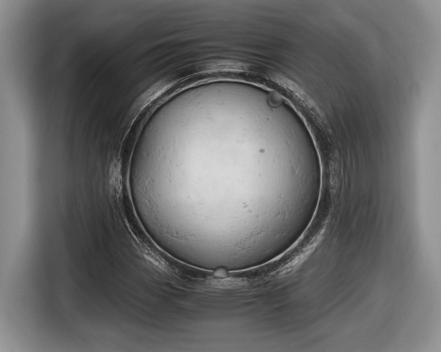 X0000116661113200912211502