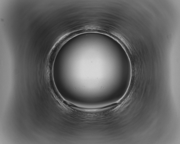 X0000116661115200912211502