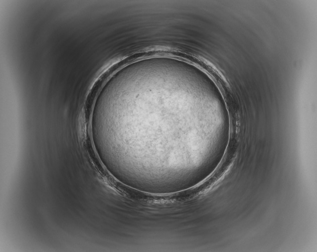 X0000116661117200912211502