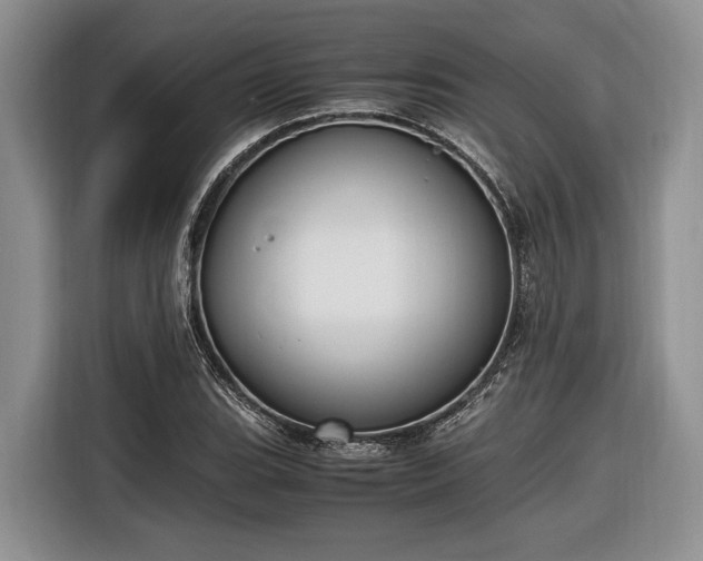 X0000116661119200912211502