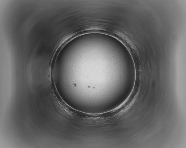 X0000116661121200912211502