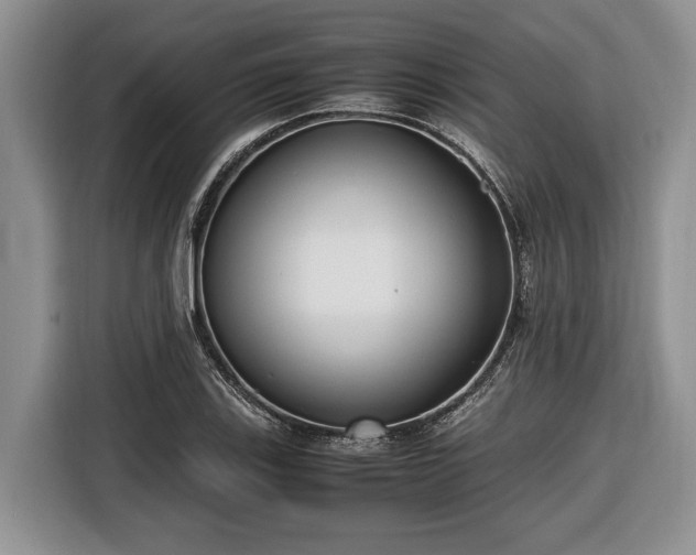 X0000116661123200912211502